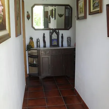 Fernandinho Torres Vedras